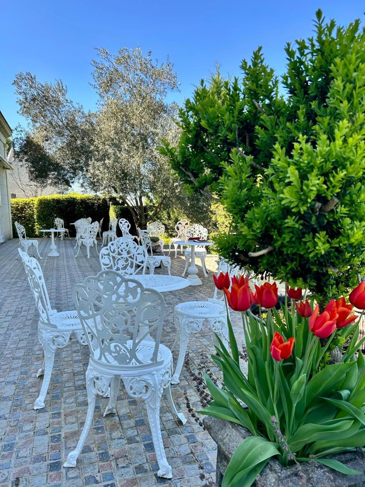 Logis Demeure De La Vignole Hotel Turquant Exterior photo
